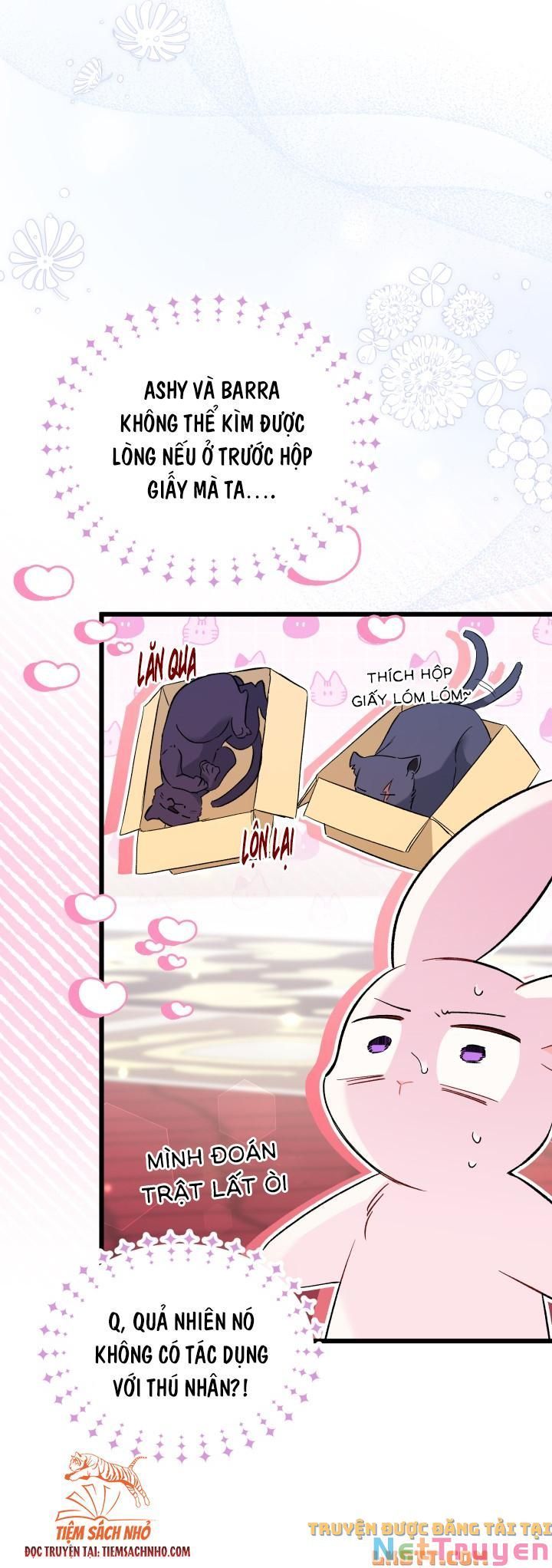 đọc truyện Mối Quan Hệ Cộng Sinh Giữa Báo Đen Và Thỏ Trắng Chương 58 ảnh 37 tại Thiên Thai Truyện