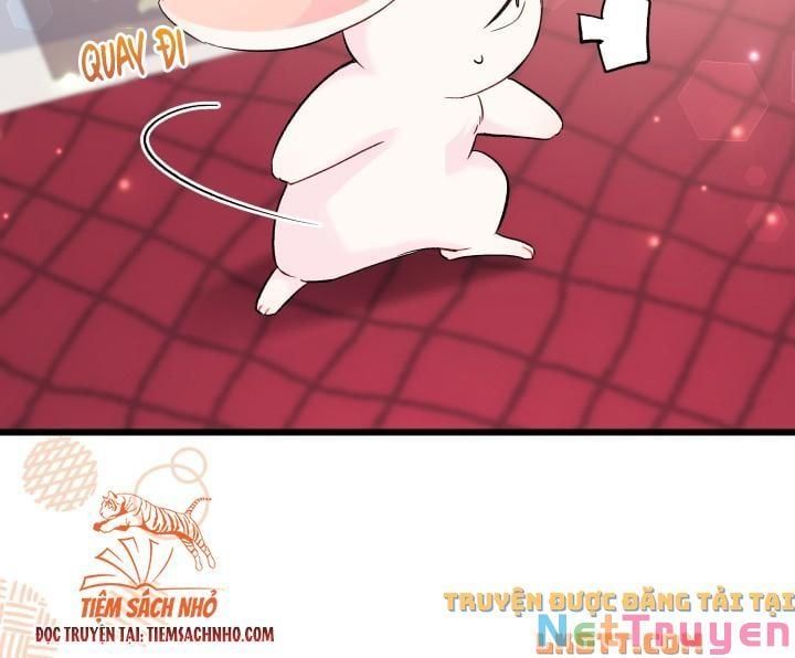 đọc truyện Mối Quan Hệ Cộng Sinh Giữa Báo Đen Và Thỏ Trắng Chương 58 ảnh 41 tại Thiên Thai Truyện