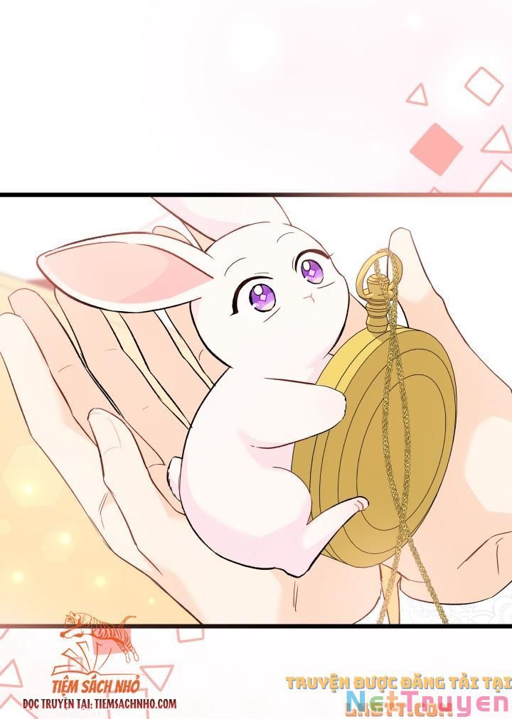 đọc truyện Mối Quan Hệ Cộng Sinh Giữa Báo Đen Và Thỏ Trắng Chương 58 ảnh 59 tại Thiên Thai Truyện