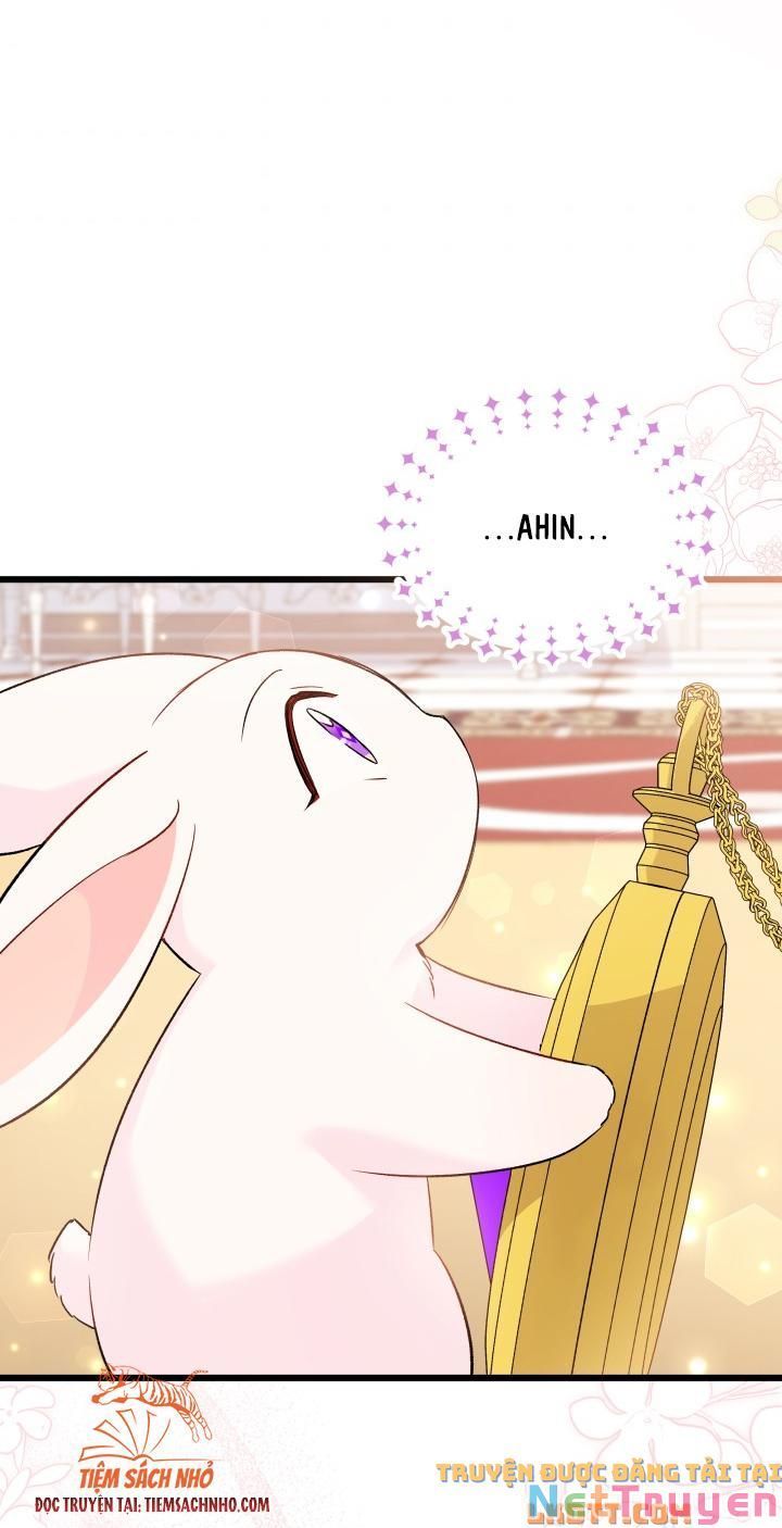 đọc truyện Mối Quan Hệ Cộng Sinh Giữa Báo Đen Và Thỏ Trắng Chương 58 ảnh 64 tại Thiên Thai Truyện