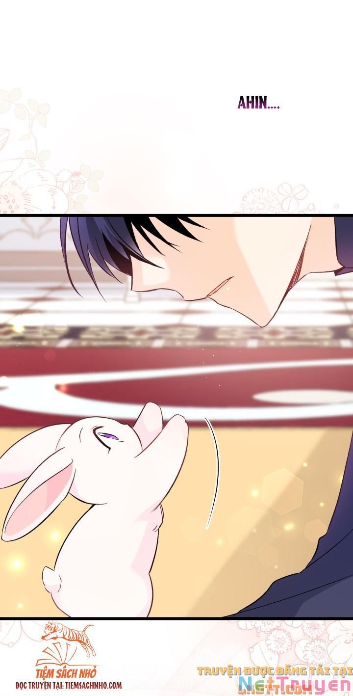 đọc truyện Mối Quan Hệ Cộng Sinh Giữa Báo Đen Và Thỏ Trắng Chương 58 ảnh 69 tại Thiên Thai Truyện