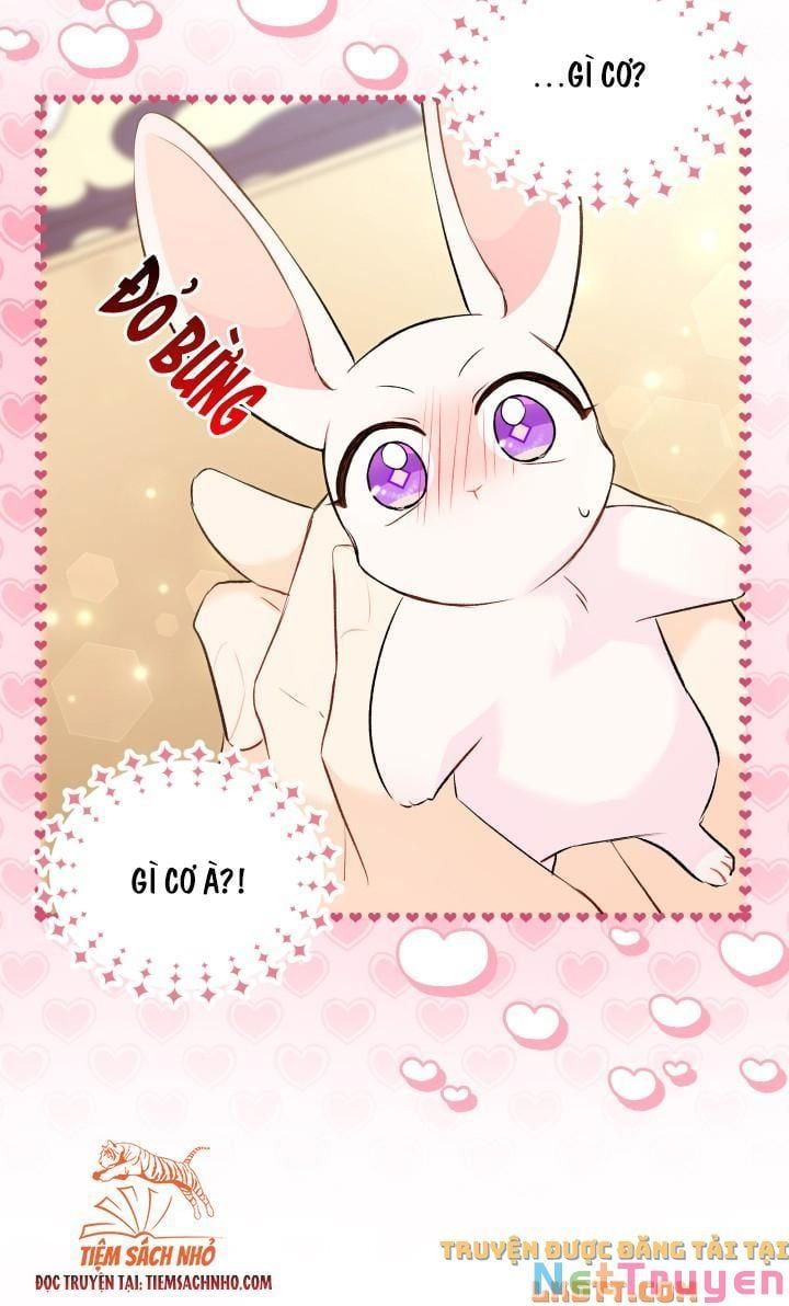 đọc truyện Mối Quan Hệ Cộng Sinh Giữa Báo Đen Và Thỏ Trắng Chương 58 ảnh 74 tại Thiên Thai Truyện