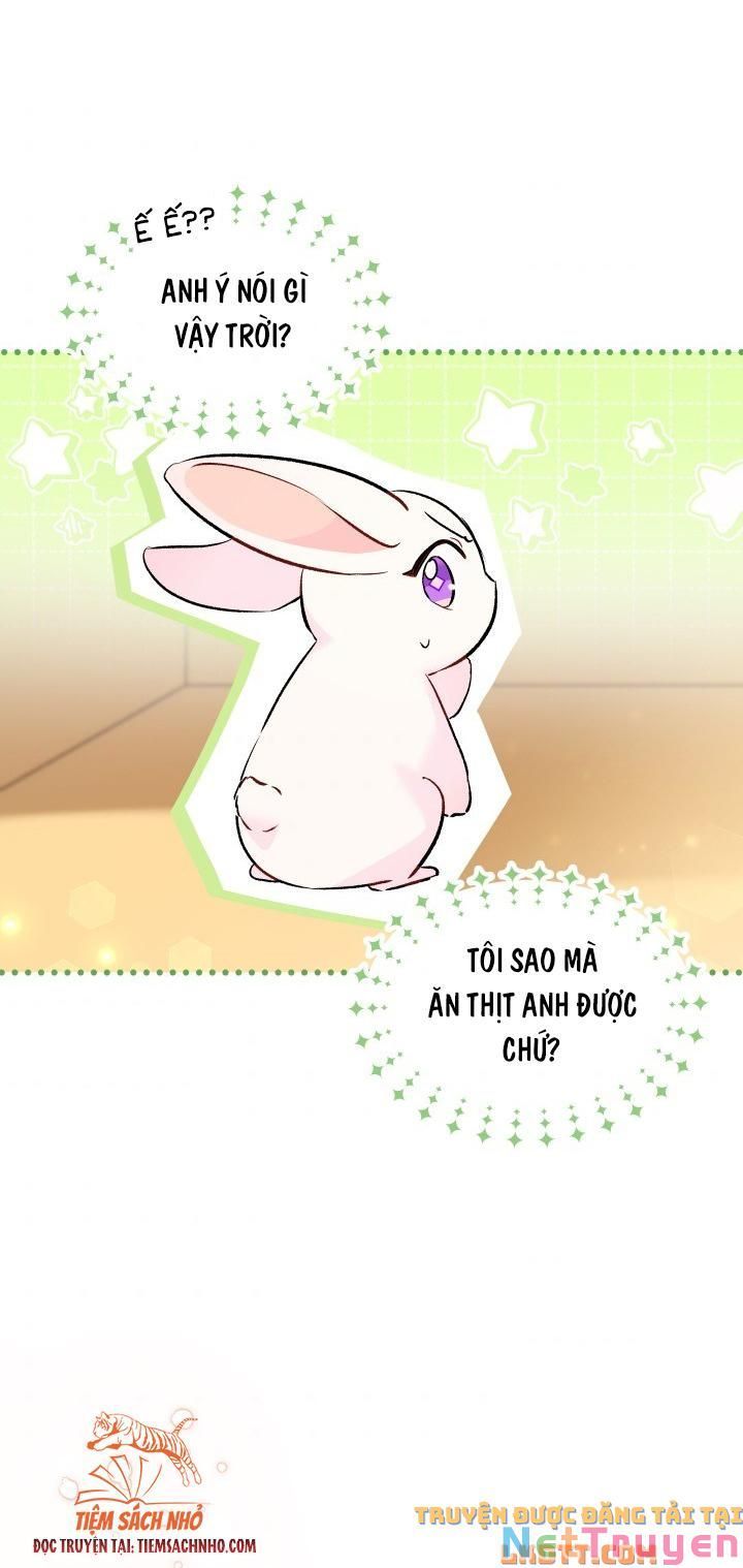 đọc truyện Mối Quan Hệ Cộng Sinh Giữa Báo Đen Và Thỏ Trắng Chương 58 ảnh 77 tại Thiên Thai Truyện