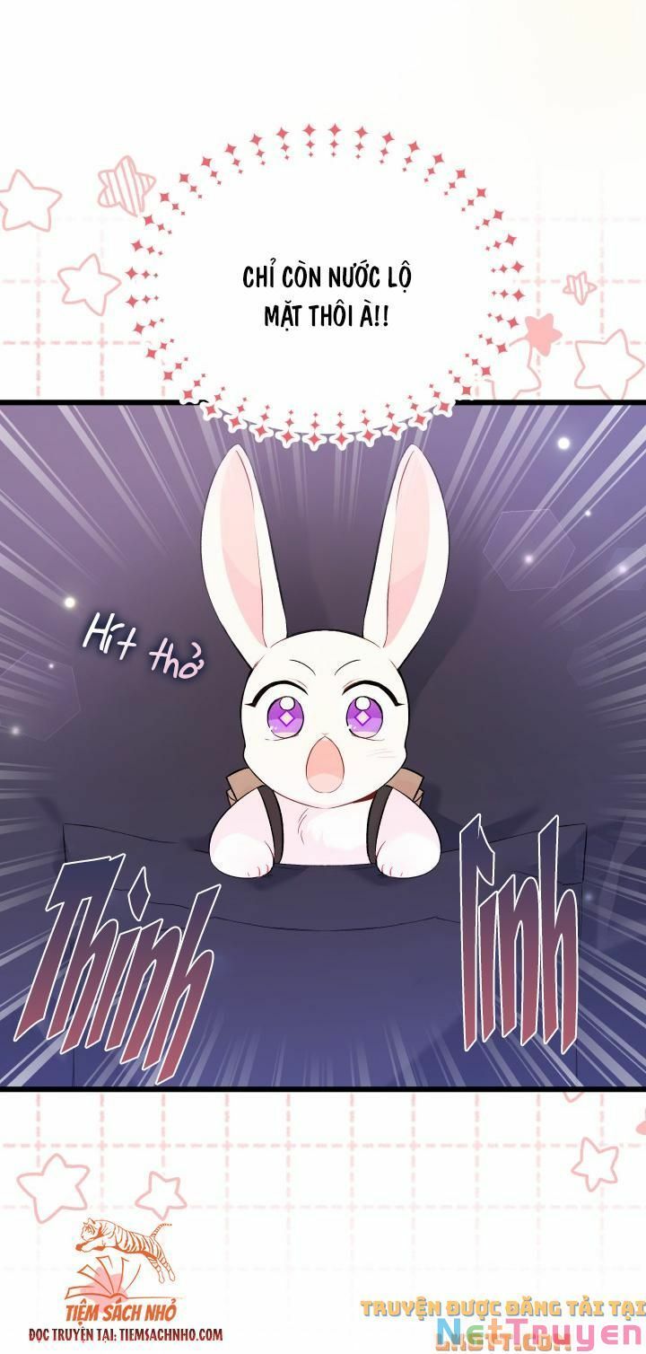 đọc truyện Mối Quan Hệ Cộng Sinh Giữa Báo Đen Và Thỏ Trắng Chương 59 ảnh 17 tại Thiên Thai Truyện