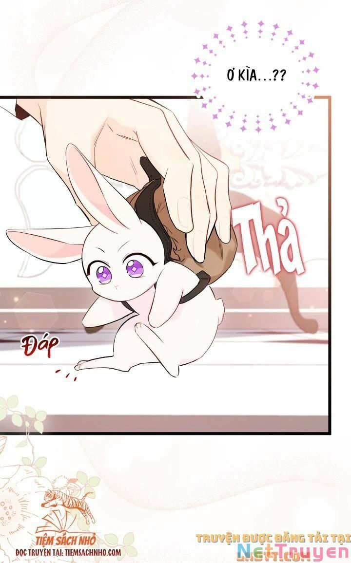 đọc truyện Mối Quan Hệ Cộng Sinh Giữa Báo Đen Và Thỏ Trắng Chương 59 ảnh 24 tại Thiên Thai Truyện