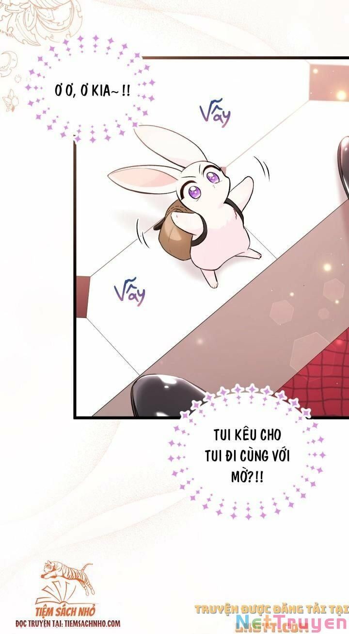 đọc truyện Mối Quan Hệ Cộng Sinh Giữa Báo Đen Và Thỏ Trắng Chương 59 ảnh 25 tại Thiên Thai Truyện
