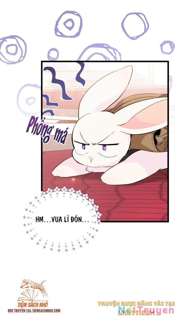 đọc truyện Mối Quan Hệ Cộng Sinh Giữa Báo Đen Và Thỏ Trắng Chương 59 ảnh 29 tại Thiên Thai Truyện