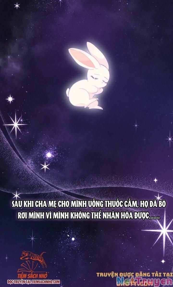 đọc truyện Mối Quan Hệ Cộng Sinh Giữa Báo Đen Và Thỏ Trắng Chương 59 ảnh 5 tại Thiên Thai Truyện