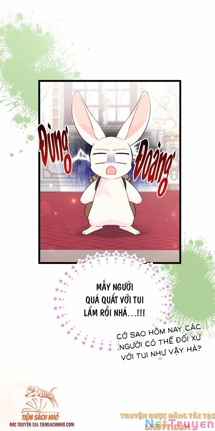 đọc truyện Mối Quan Hệ Cộng Sinh Giữa Báo Đen Và Thỏ Trắng Chương 59 ảnh 34 tại Thiên Thai Truyện