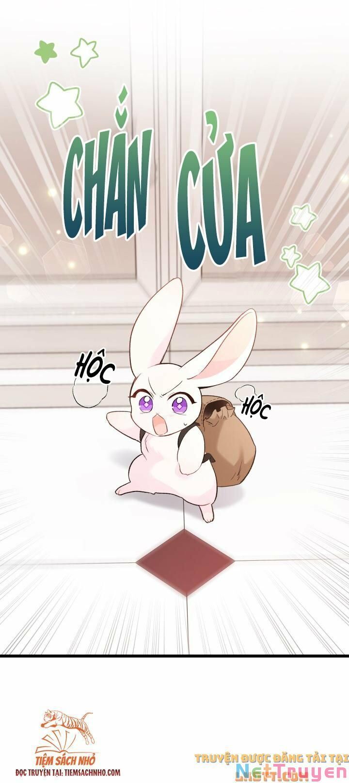 đọc truyện Mối Quan Hệ Cộng Sinh Giữa Báo Đen Và Thỏ Trắng Chương 59 ảnh 36 tại Thiên Thai Truyện