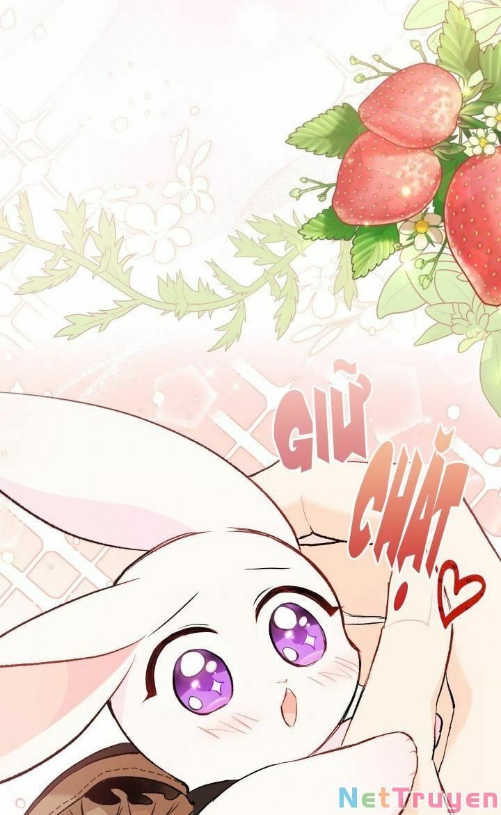 đọc truyện Mối Quan Hệ Cộng Sinh Giữa Báo Đen Và Thỏ Trắng Chương 59 ảnh 41 tại Thiên Thai Truyện