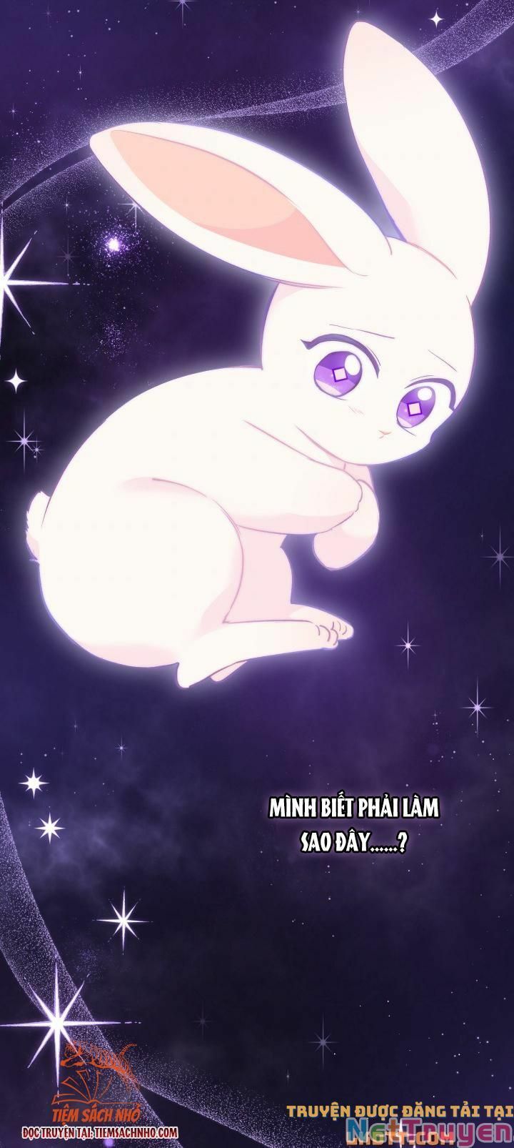 đọc truyện Mối Quan Hệ Cộng Sinh Giữa Báo Đen Và Thỏ Trắng Chương 59 ảnh 6 tại Thiên Thai Truyện