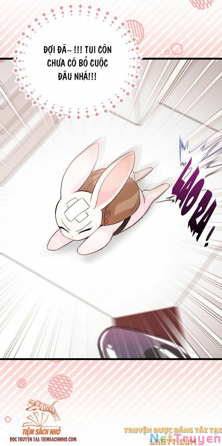 đọc truyện Mối Quan Hệ Cộng Sinh Giữa Báo Đen Và Thỏ Trắng Chương 59 ảnh 45 tại Thiên Thai Truyện