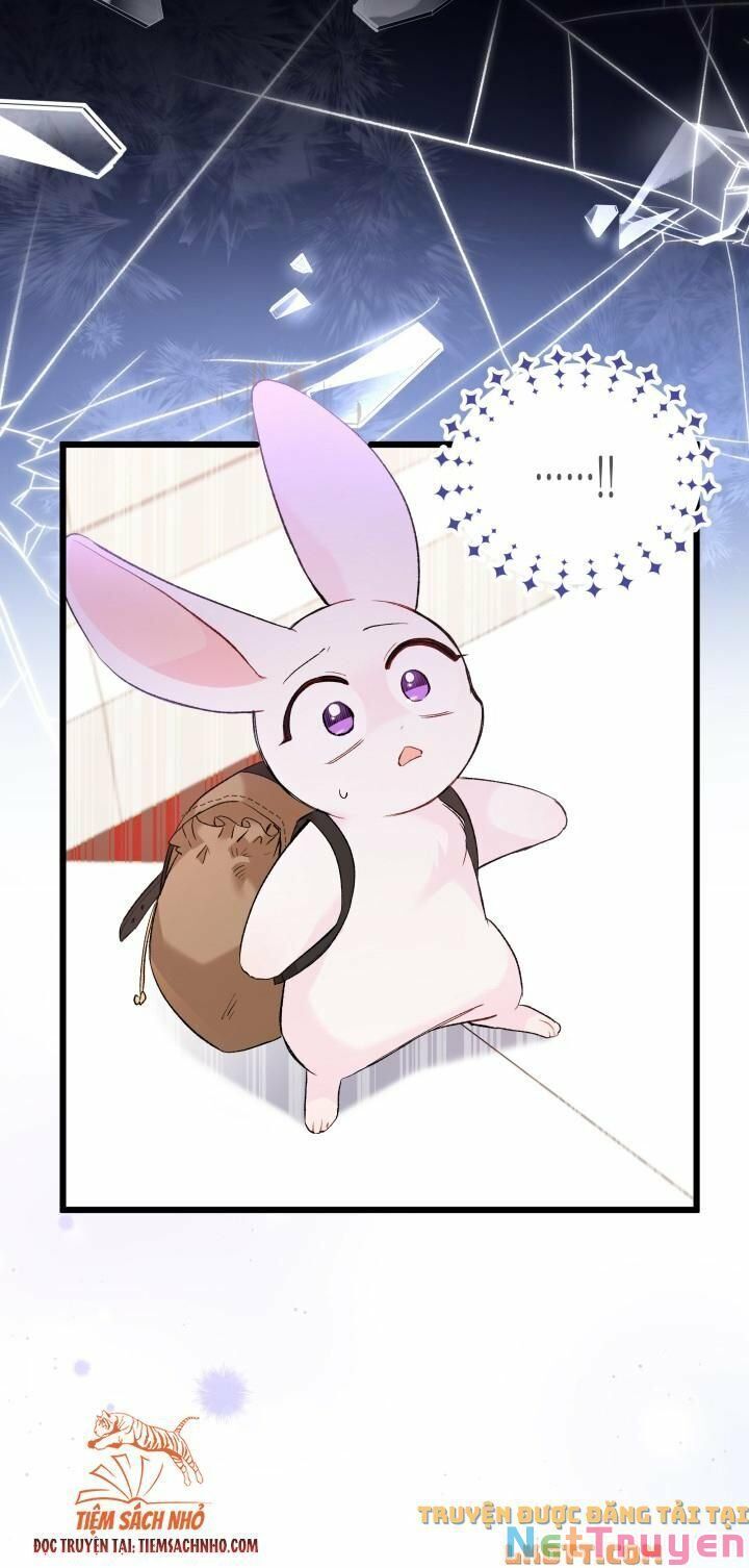 đọc truyện Mối Quan Hệ Cộng Sinh Giữa Báo Đen Và Thỏ Trắng Chương 59 ảnh 50 tại Thiên Thai Truyện