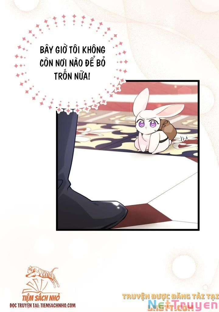 đọc truyện Mối Quan Hệ Cộng Sinh Giữa Báo Đen Và Thỏ Trắng Chương 59 ảnh 53 tại Thiên Thai Truyện