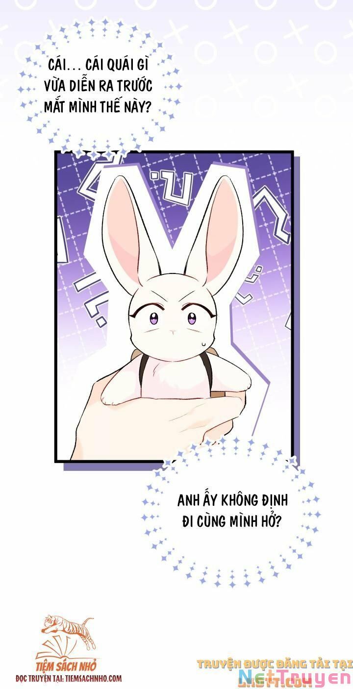 đọc truyện Mối Quan Hệ Cộng Sinh Giữa Báo Đen Và Thỏ Trắng Chương 59 ảnh 66 tại Thiên Thai Truyện