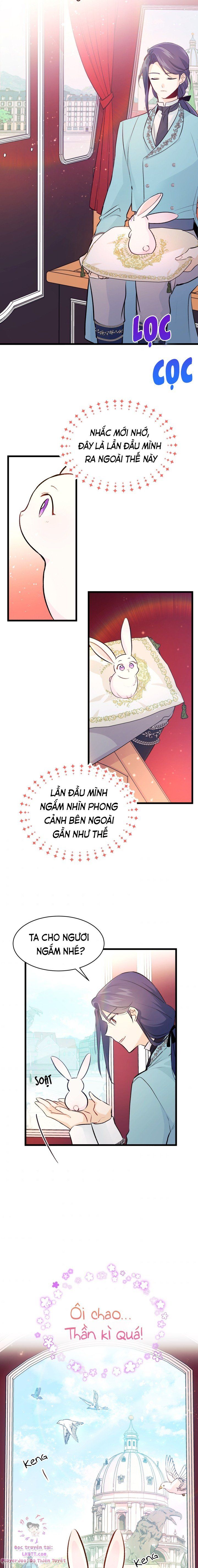 đọc truyện Mối Quan Hệ Cộng Sinh Giữa Báo Đen Và Thỏ Trắng Chương 6 ảnh 19 tại Thiên Thai Truyện