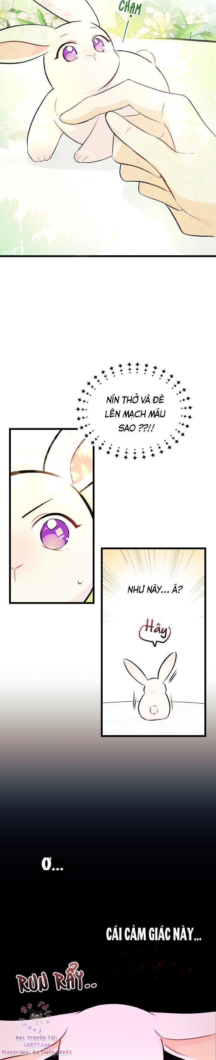 đọc truyện Mối Quan Hệ Cộng Sinh Giữa Báo Đen Và Thỏ Trắng Chương 6 ảnh 10 tại Thiên Thai Truyện