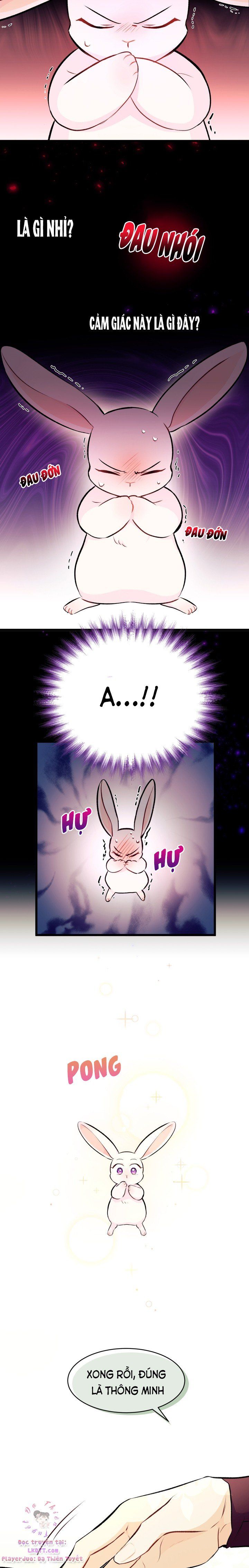 đọc truyện Mối Quan Hệ Cộng Sinh Giữa Báo Đen Và Thỏ Trắng Chương 6 ảnh 11 tại Thiên Thai Truyện