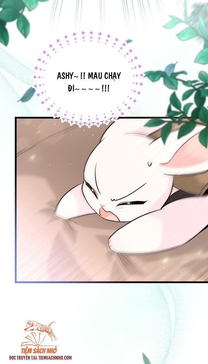 đọc truyện Mối Quan Hệ Cộng Sinh Giữa Báo Đen Và Thỏ Trắng Chương 60 ảnh 31 tại Thiên Thai Truyện