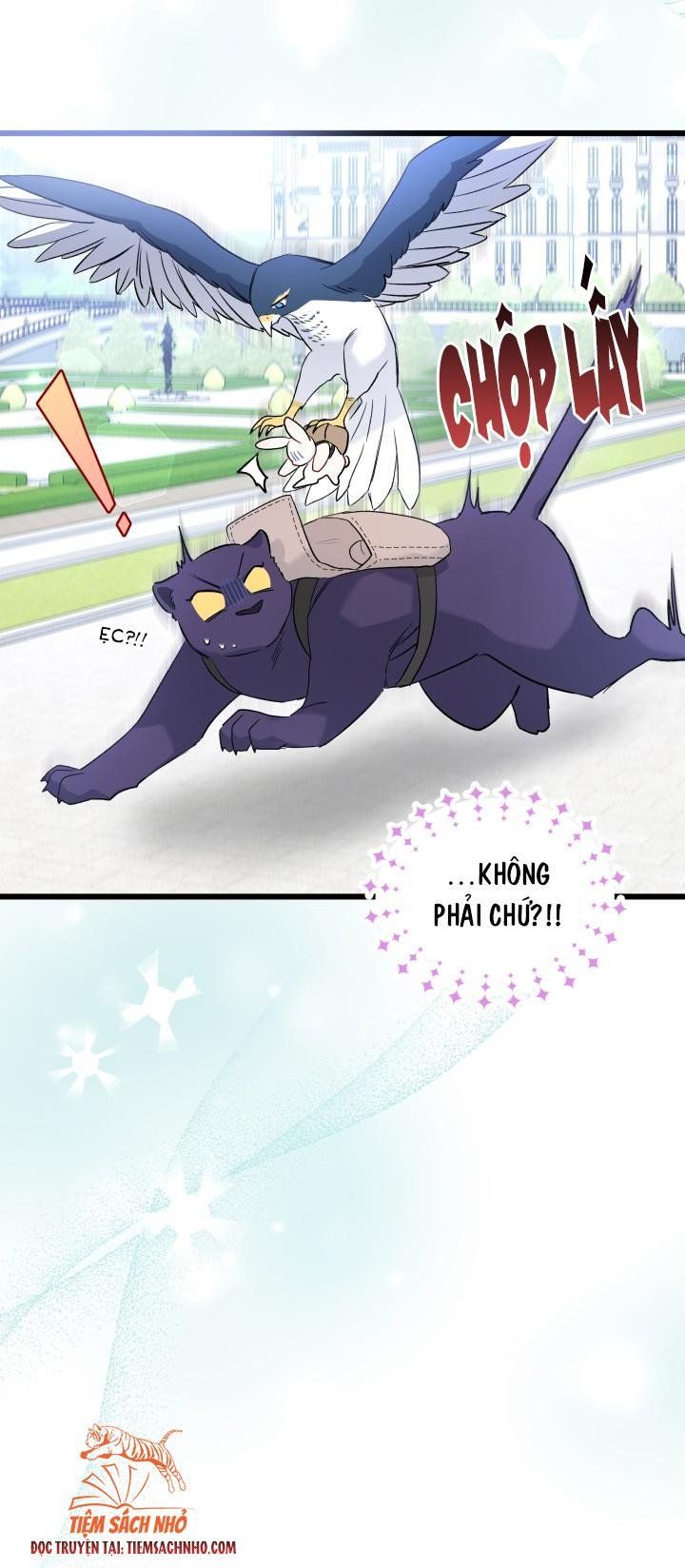 đọc truyện Mối Quan Hệ Cộng Sinh Giữa Báo Đen Và Thỏ Trắng Chương 60 ảnh 37 tại Thiên Thai Truyện