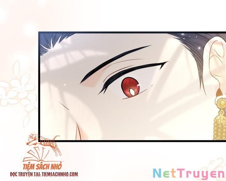 đọc truyện Mối Quan Hệ Cộng Sinh Giữa Báo Đen Và Thỏ Trắng Chương 61 ảnh 15 tại Thiên Thai Truyện