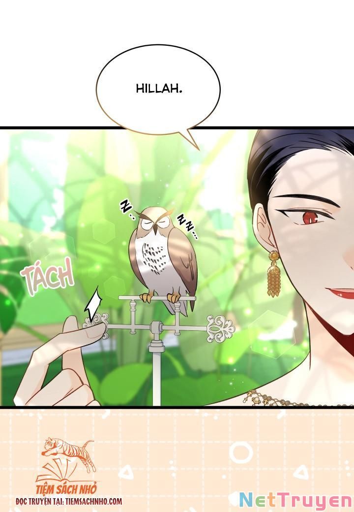 đọc truyện Mối Quan Hệ Cộng Sinh Giữa Báo Đen Và Thỏ Trắng Chương 61 ảnh 17 tại Thiên Thai Truyện