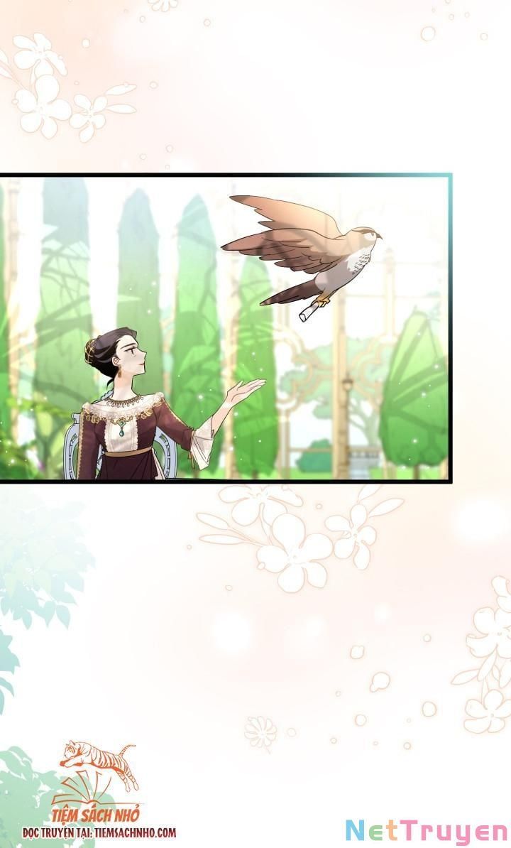 đọc truyện Mối Quan Hệ Cộng Sinh Giữa Báo Đen Và Thỏ Trắng Chương 61 ảnh 19 tại Thiên Thai Truyện