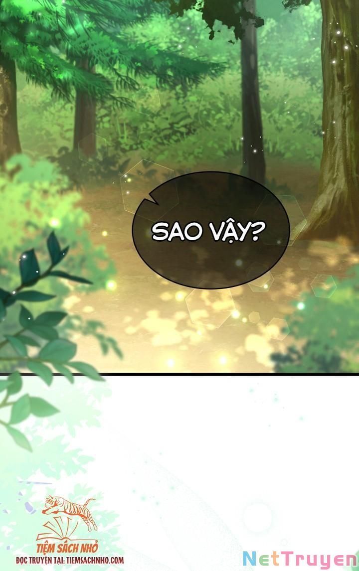 đọc truyện Mối Quan Hệ Cộng Sinh Giữa Báo Đen Và Thỏ Trắng Chương 61 ảnh 23 tại Thiên Thai Truyện