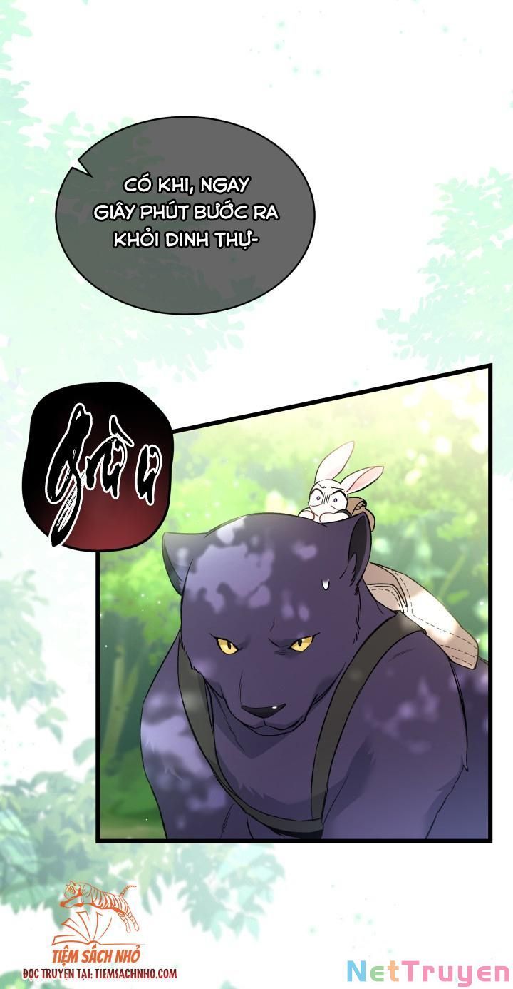 đọc truyện Mối Quan Hệ Cộng Sinh Giữa Báo Đen Và Thỏ Trắng Chương 61 ảnh 25 tại Thiên Thai Truyện