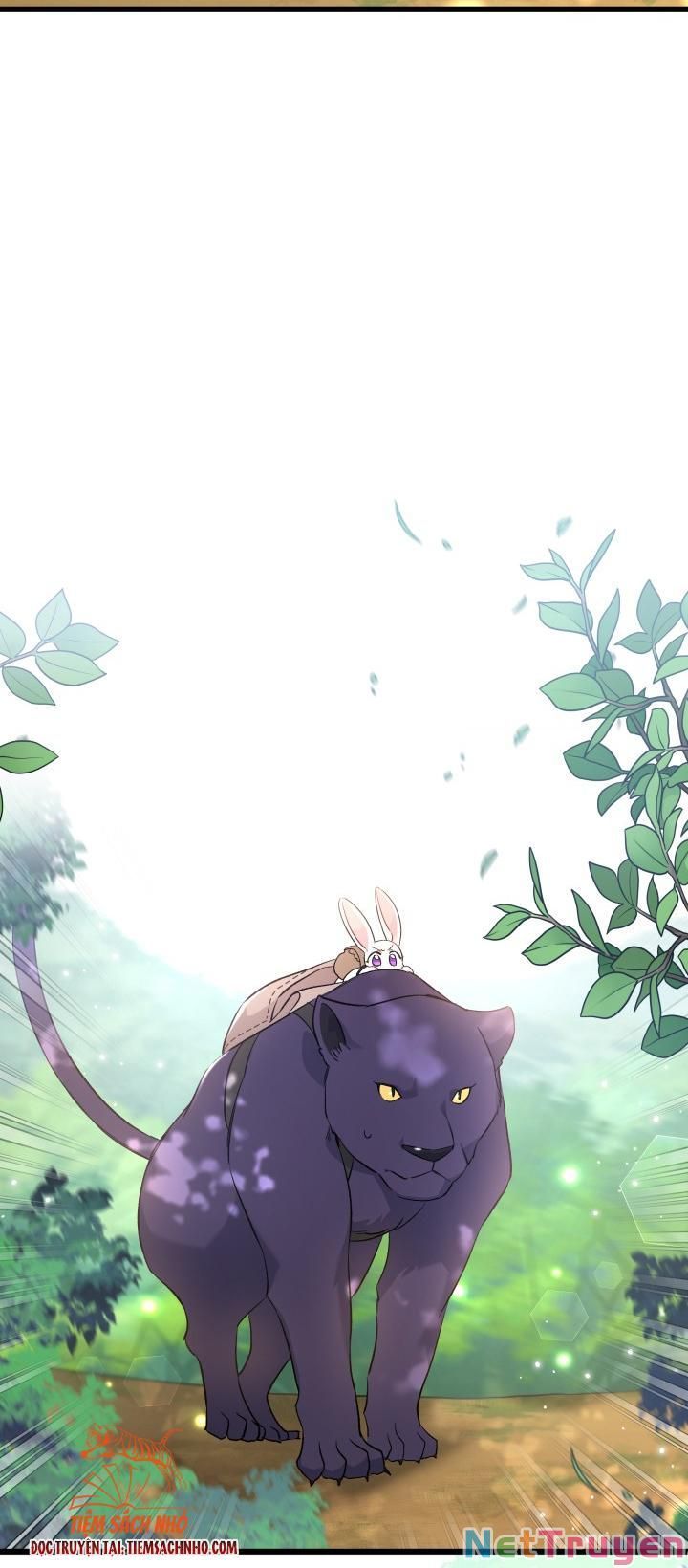 đọc truyện Mối Quan Hệ Cộng Sinh Giữa Báo Đen Và Thỏ Trắng Chương 61 ảnh 28 tại Thiên Thai Truyện