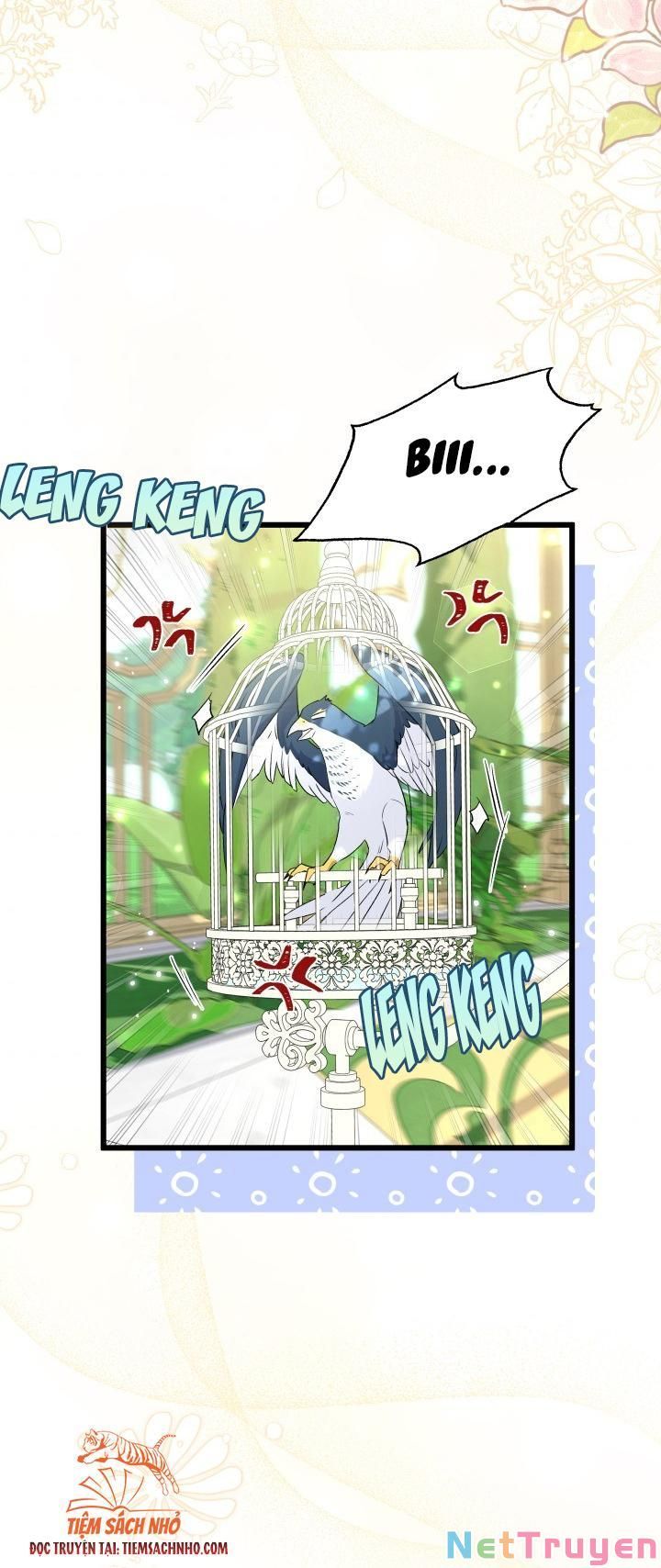 đọc truyện Mối Quan Hệ Cộng Sinh Giữa Báo Đen Và Thỏ Trắng Chương 61 ảnh 5 tại Thiên Thai Truyện