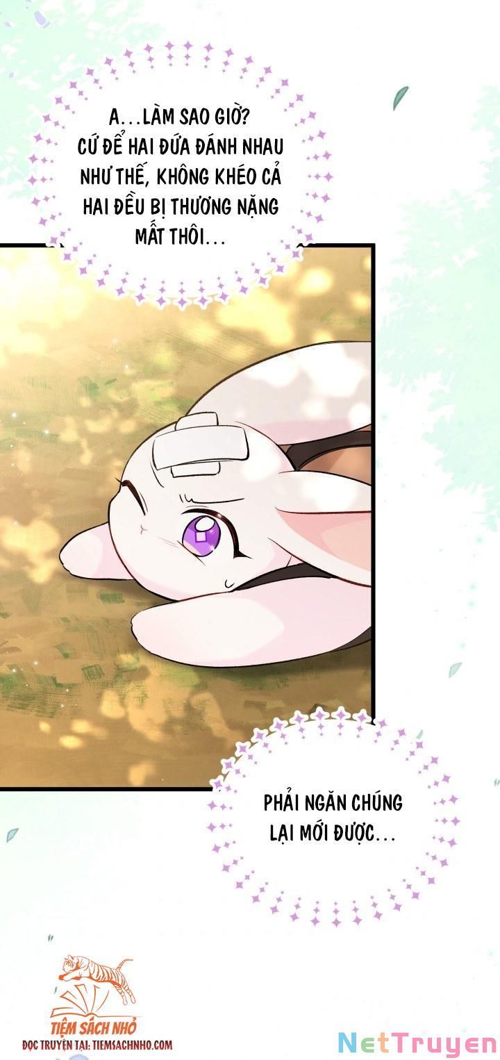 đọc truyện Mối Quan Hệ Cộng Sinh Giữa Báo Đen Và Thỏ Trắng Chương 61 ảnh 33 tại Thiên Thai Truyện