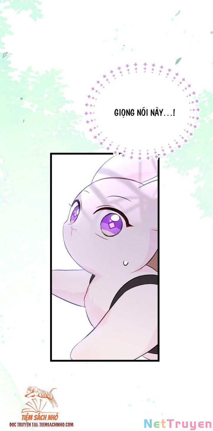 đọc truyện Mối Quan Hệ Cộng Sinh Giữa Báo Đen Và Thỏ Trắng Chương 61 ảnh 37 tại Thiên Thai Truyện