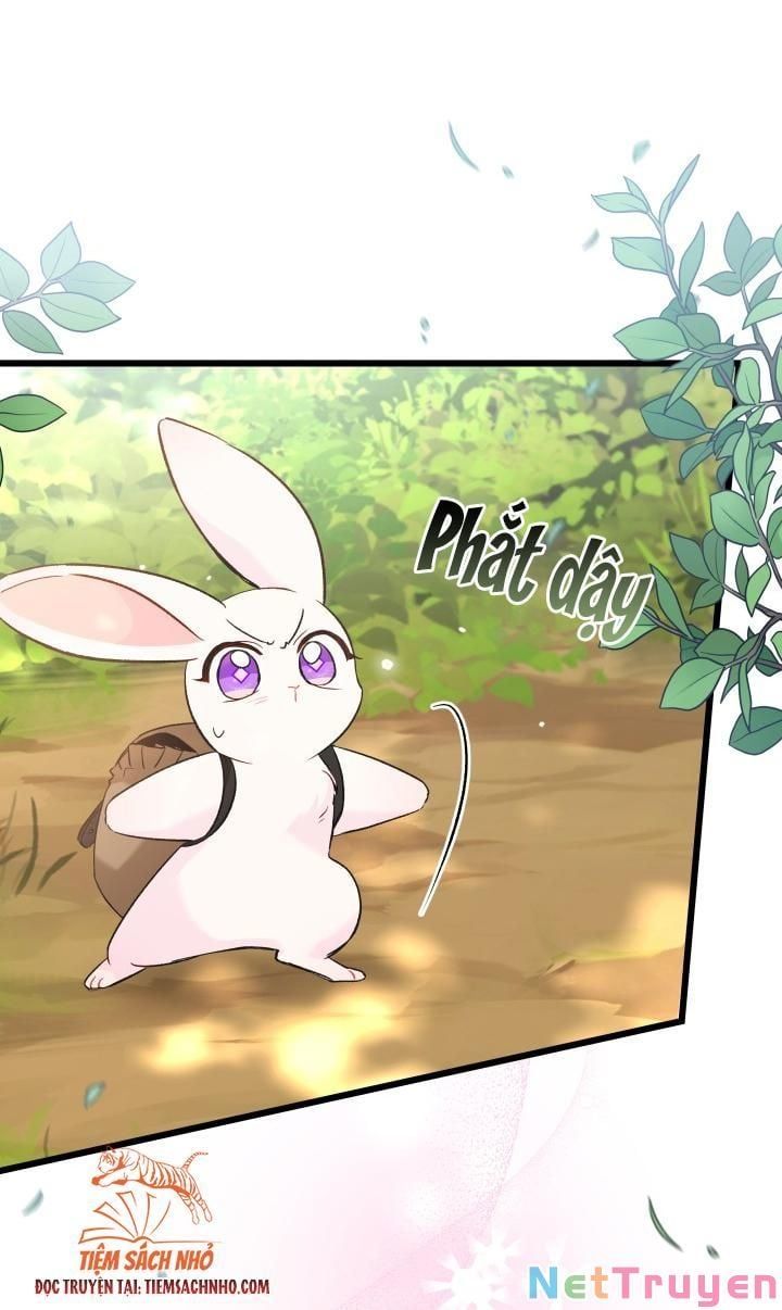 đọc truyện Mối Quan Hệ Cộng Sinh Giữa Báo Đen Và Thỏ Trắng Chương 61 ảnh 45 tại Thiên Thai Truyện