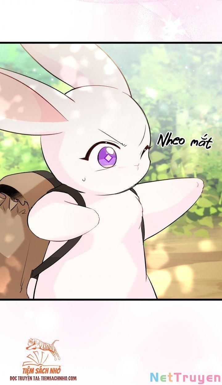 đọc truyện Mối Quan Hệ Cộng Sinh Giữa Báo Đen Và Thỏ Trắng Chương 61 ảnh 47 tại Thiên Thai Truyện