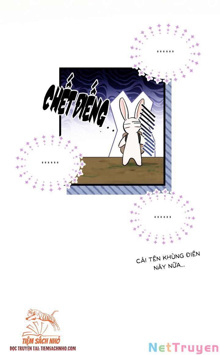 đọc truyện Mối Quan Hệ Cộng Sinh Giữa Báo Đen Và Thỏ Trắng Chương 61 ảnh 50 tại Thiên Thai Truyện