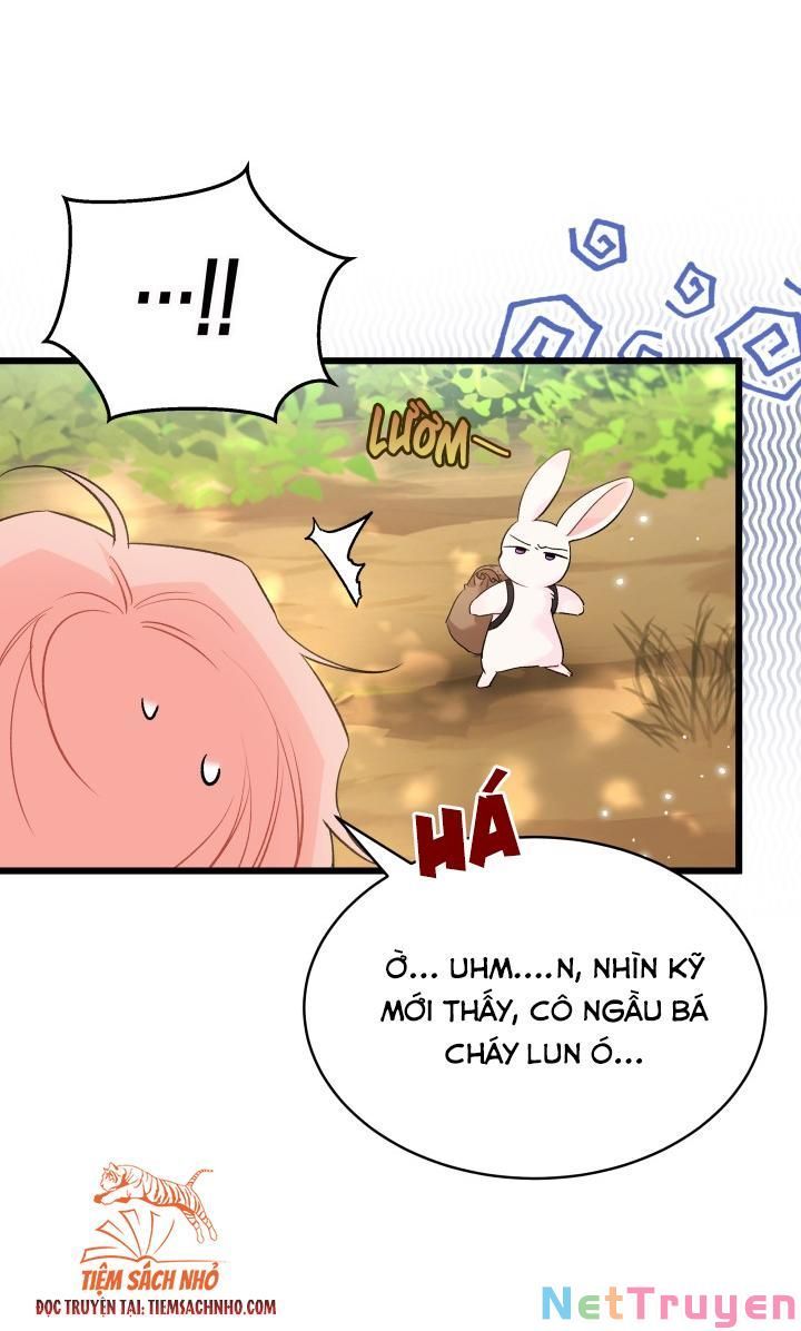 đọc truyện Mối Quan Hệ Cộng Sinh Giữa Báo Đen Và Thỏ Trắng Chương 61 ảnh 51 tại Thiên Thai Truyện