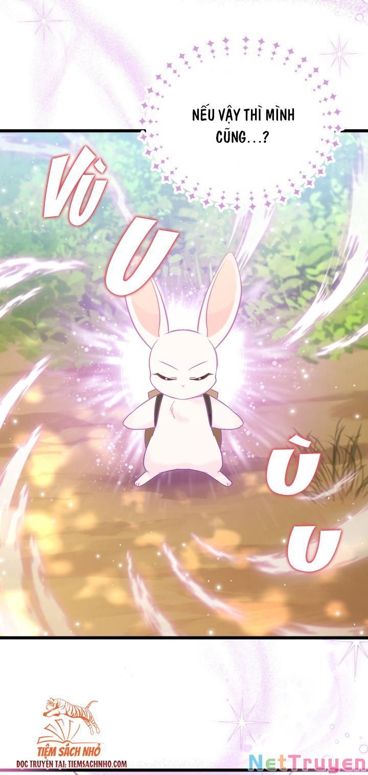 đọc truyện Mối Quan Hệ Cộng Sinh Giữa Báo Đen Và Thỏ Trắng Chương 61 ảnh 55 tại Thiên Thai Truyện