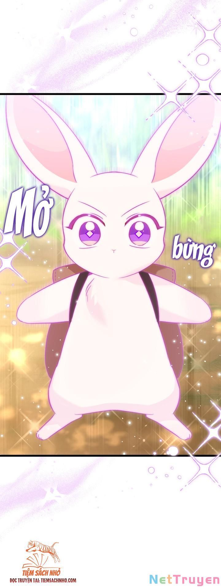 đọc truyện Mối Quan Hệ Cộng Sinh Giữa Báo Đen Và Thỏ Trắng Chương 61 ảnh 57 tại Thiên Thai Truyện