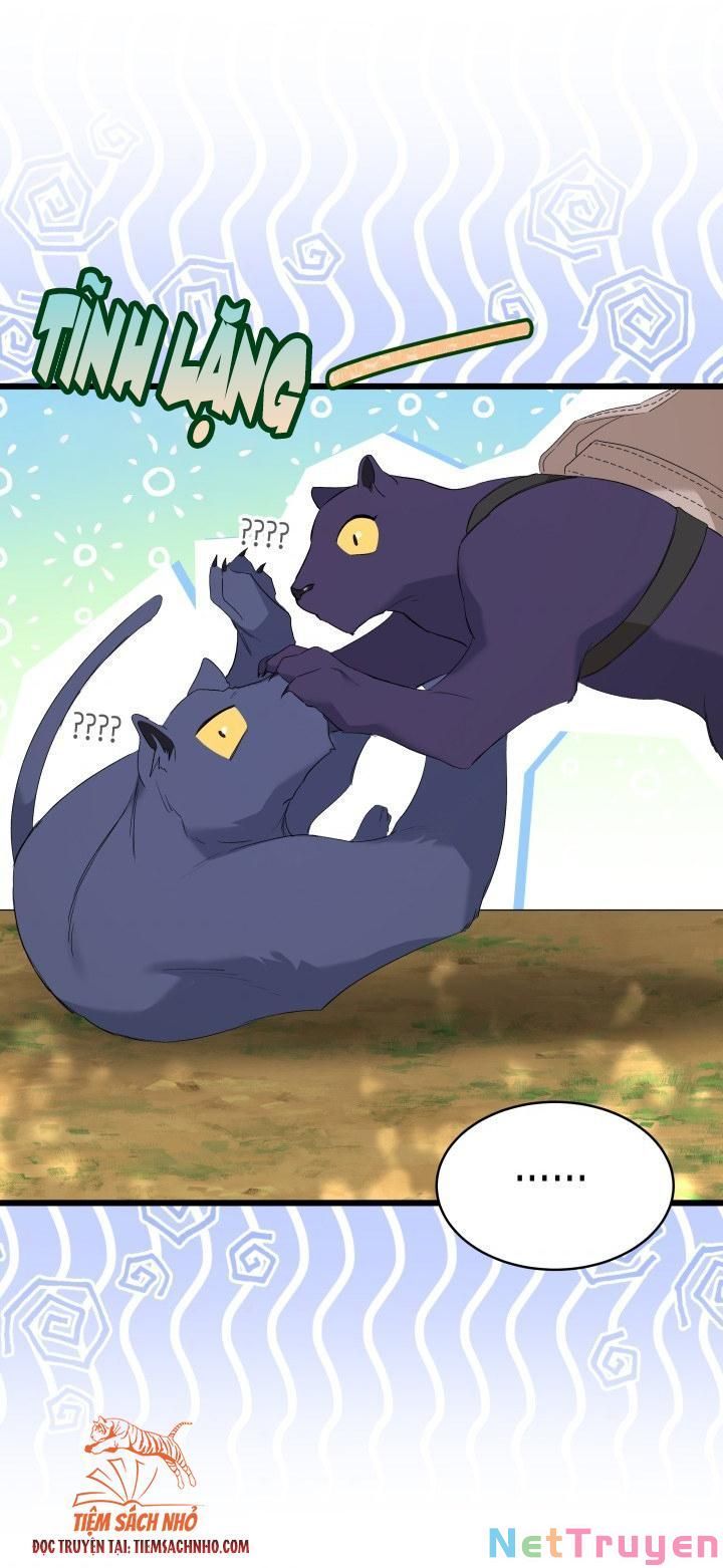 đọc truyện Mối Quan Hệ Cộng Sinh Giữa Báo Đen Và Thỏ Trắng Chương 61 ảnh 60 tại Thiên Thai Truyện