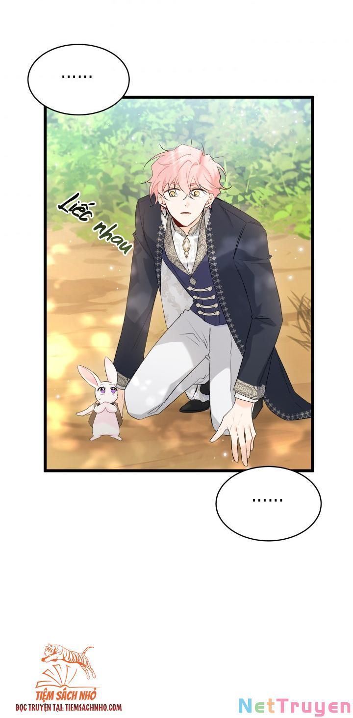 đọc truyện Mối Quan Hệ Cộng Sinh Giữa Báo Đen Và Thỏ Trắng Chương 61 ảnh 61 tại Thiên Thai Truyện