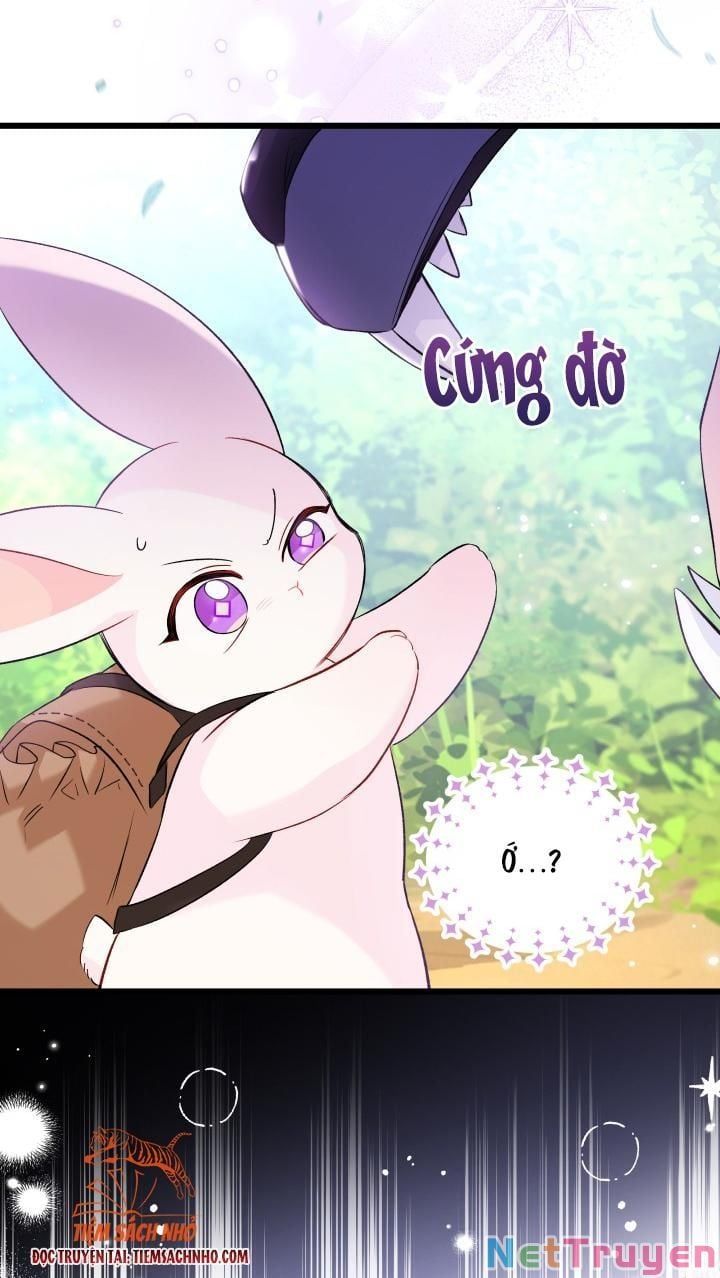 đọc truyện Mối Quan Hệ Cộng Sinh Giữa Báo Đen Và Thỏ Trắng Chương 61 ảnh 69 tại Thiên Thai Truyện