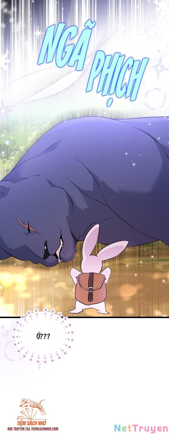 đọc truyện Mối Quan Hệ Cộng Sinh Giữa Báo Đen Và Thỏ Trắng Chương 61 ảnh 70 tại Thiên Thai Truyện