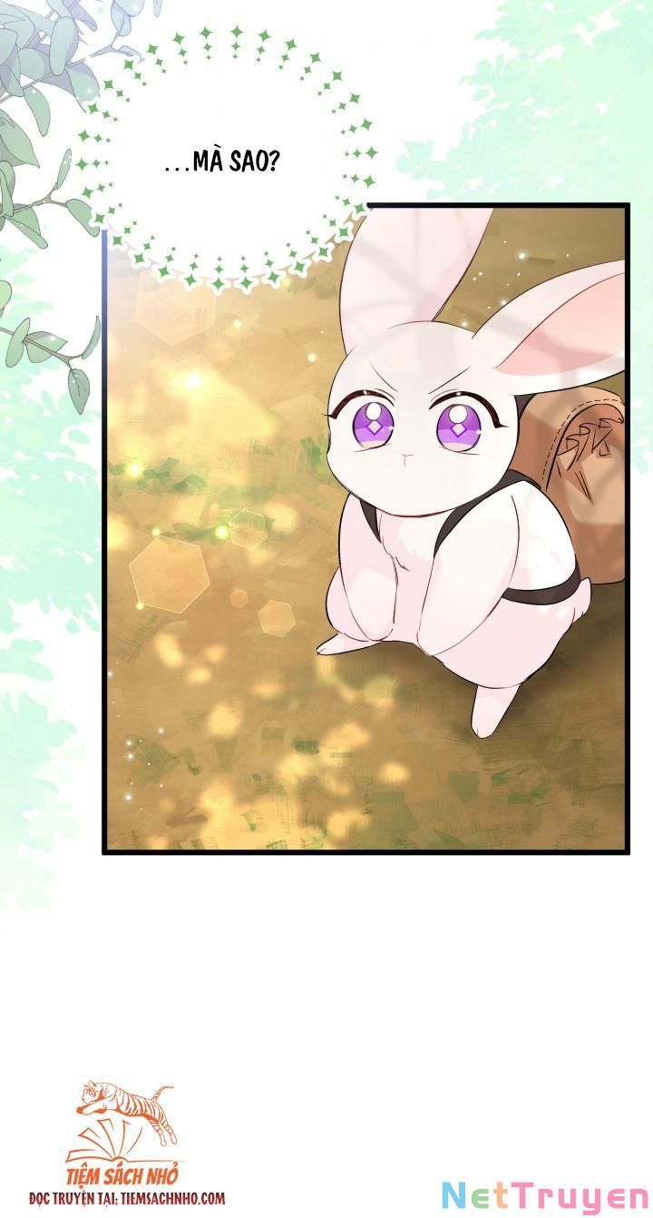 đọc truyện Mối Quan Hệ Cộng Sinh Giữa Báo Đen Và Thỏ Trắng Chương 61 ảnh 75 tại Thiên Thai Truyện