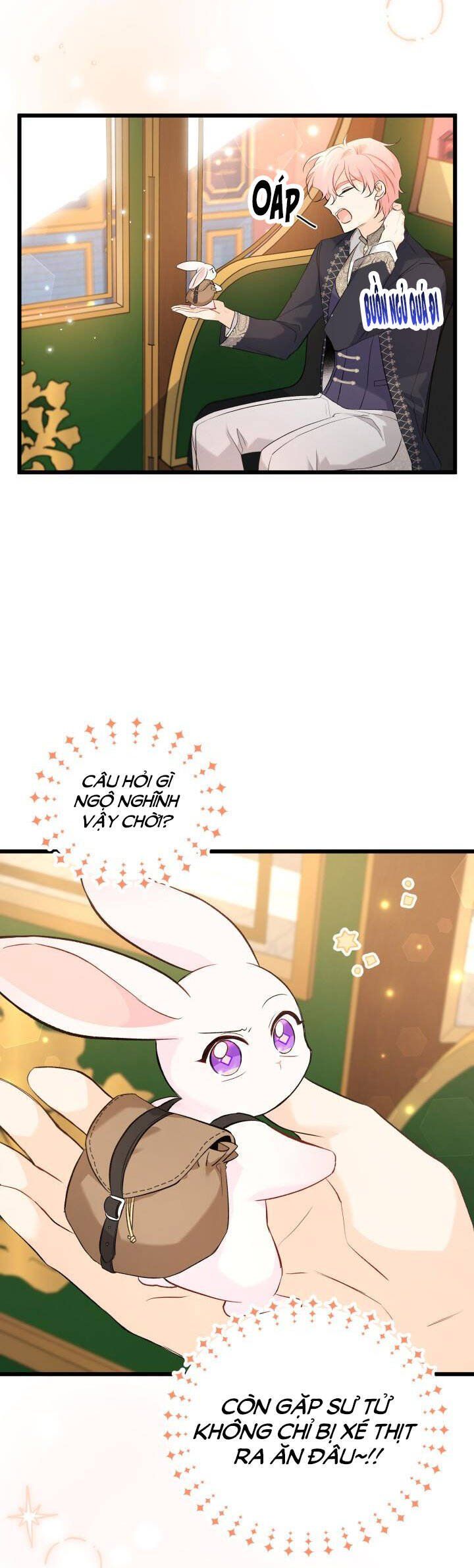 đọc truyện Mối Quan Hệ Cộng Sinh Giữa Báo Đen Và Thỏ Trắng Chương 62 ảnh 6 tại Thiên Thai Truyện