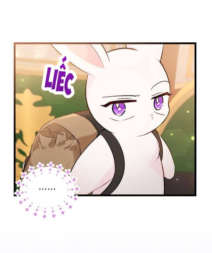 đọc truyện Mối Quan Hệ Cộng Sinh Giữa Báo Đen Và Thỏ Trắng Chương 62 ảnh 11 tại Thiên Thai Truyện