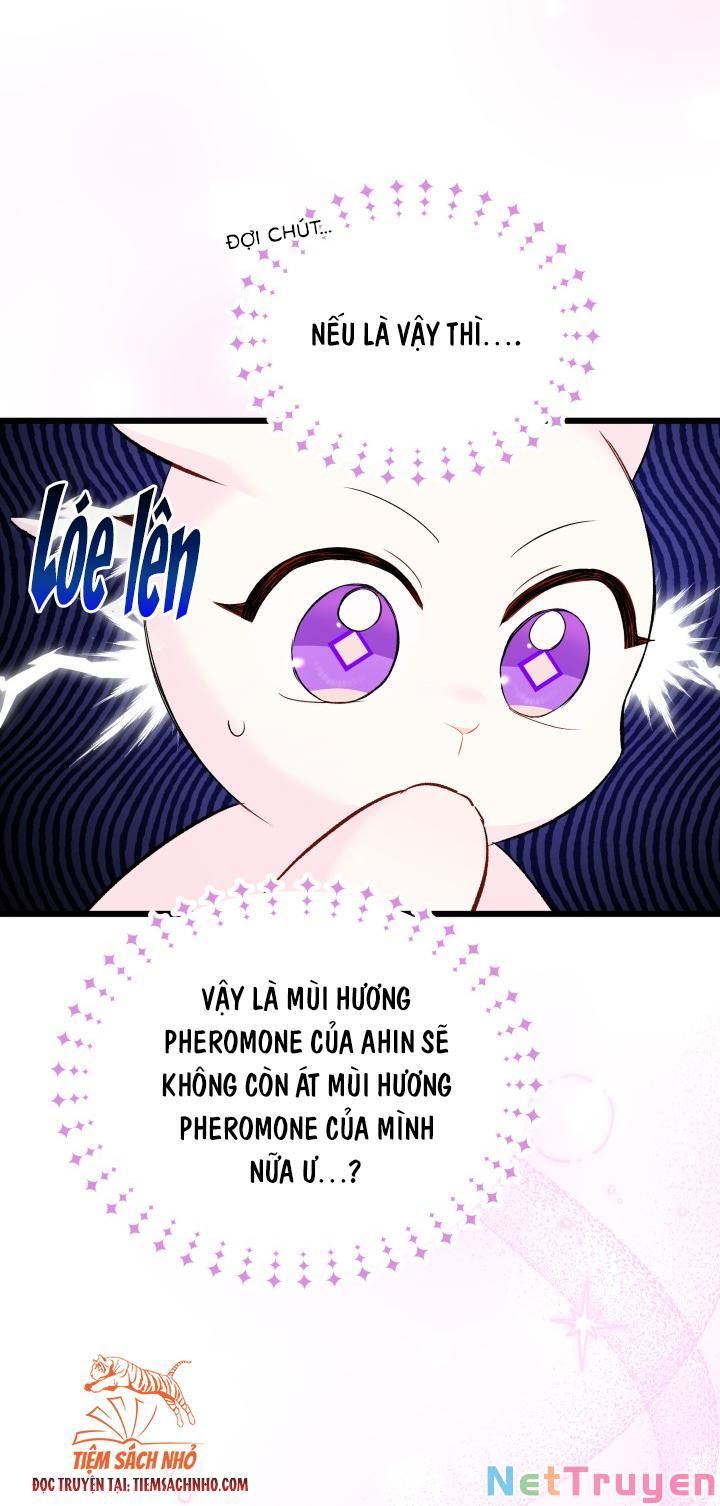 đọc truyện Mối Quan Hệ Cộng Sinh Giữa Báo Đen Và Thỏ Trắng Chương 63 ảnh 14 tại Thiên Thai Truyện