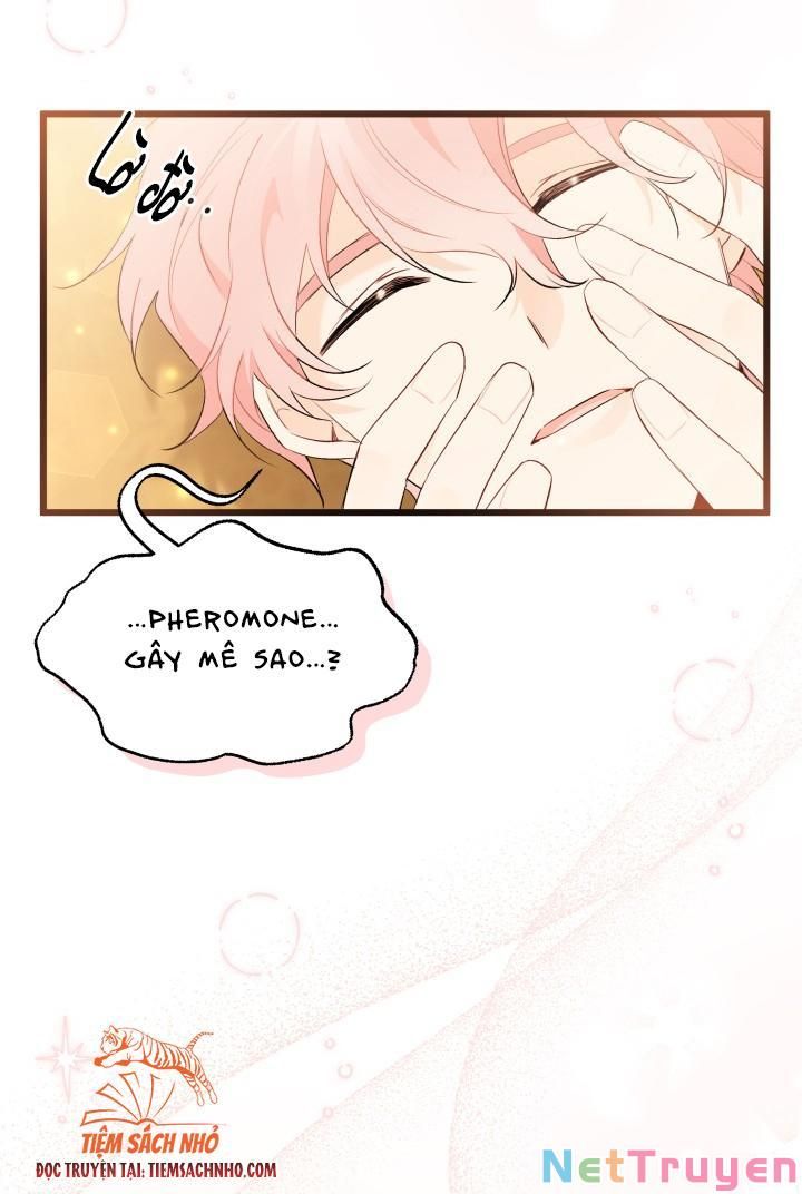 đọc truyện Mối Quan Hệ Cộng Sinh Giữa Báo Đen Và Thỏ Trắng Chương 63 ảnh 26 tại Thiên Thai Truyện