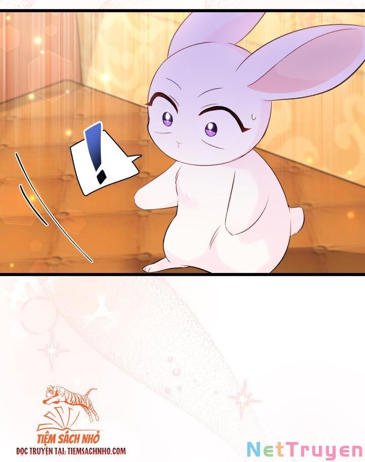 đọc truyện Mối Quan Hệ Cộng Sinh Giữa Báo Đen Và Thỏ Trắng Chương 63 ảnh 27 tại Thiên Thai Truyện